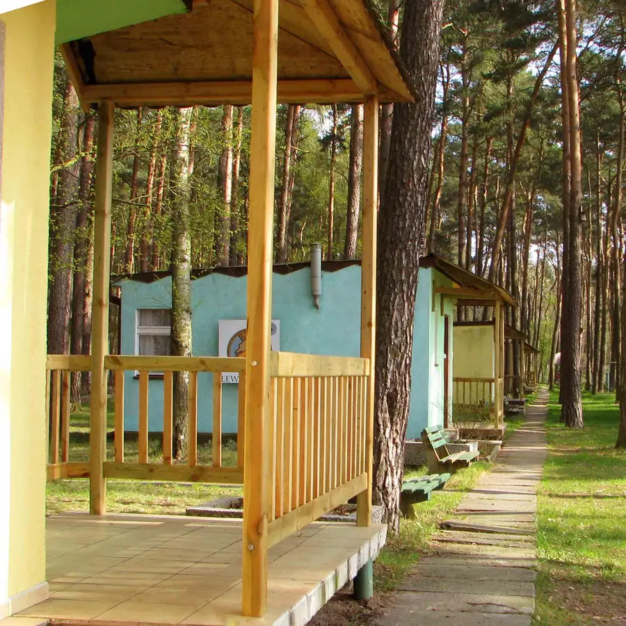 Domki letniskowe w sosnowym lesie — wczasy nad jeziorem Wojnowo