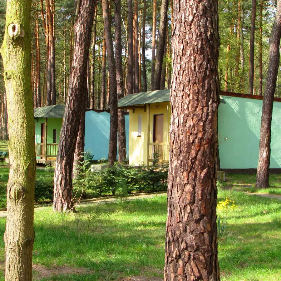 Tereny rekreacyjne ośrodka — kort, boisko, sosnowy las