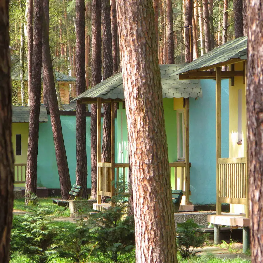 Domki nad jeziorem w sosnowym lesie — Wojnowo
