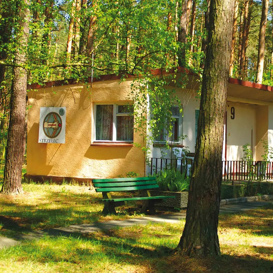 Plaża i jezioro — wypoczynek nad wodą w Wojnowie