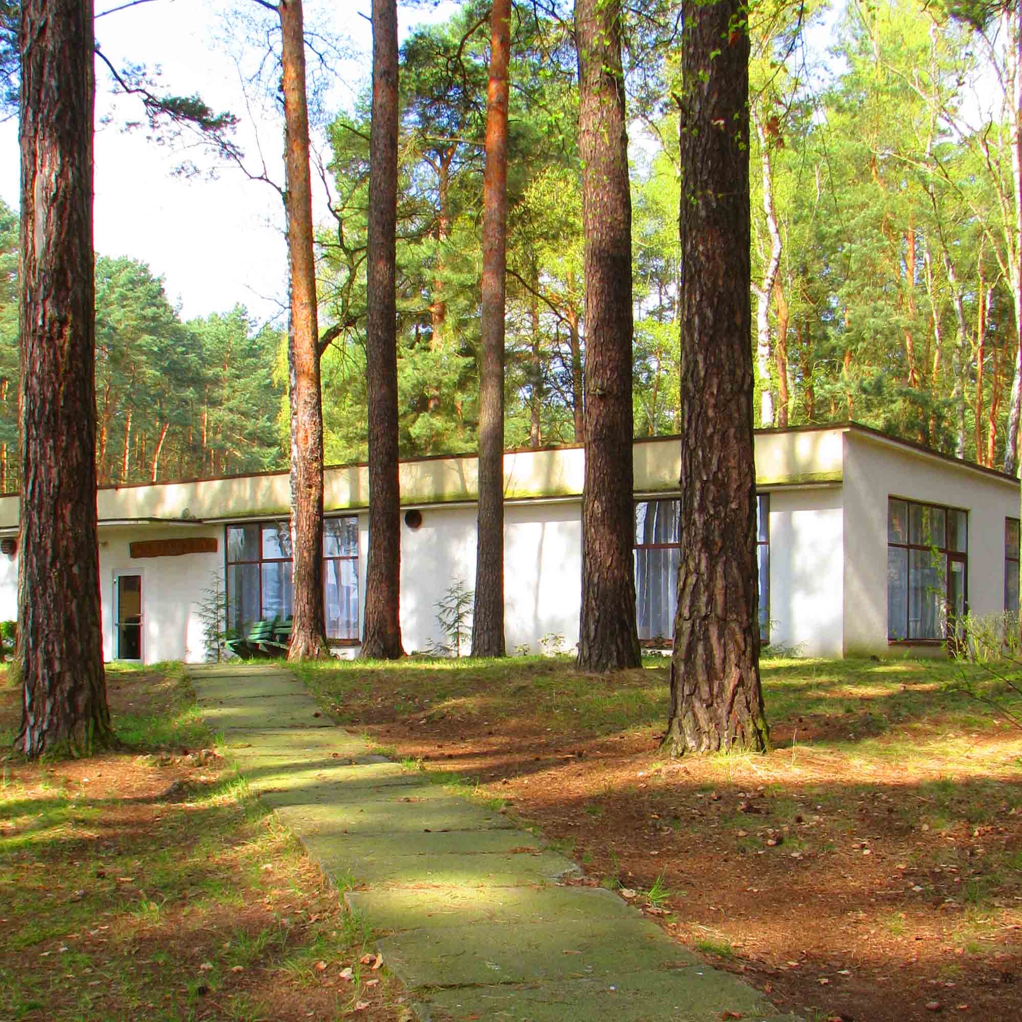 Pole namiotowe w sosnowym lesie nad jeziorem — camping Wojnowo