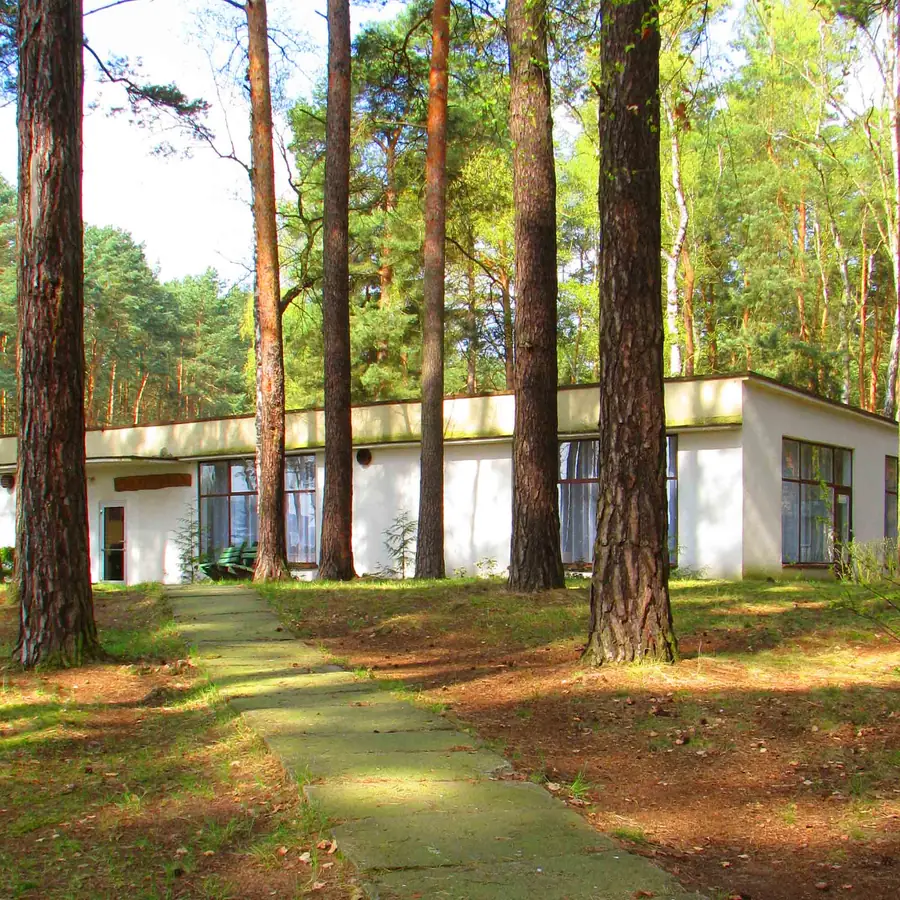 Pole namiotowe w sosnowym lesie nad jeziorem — camping Wojnowo